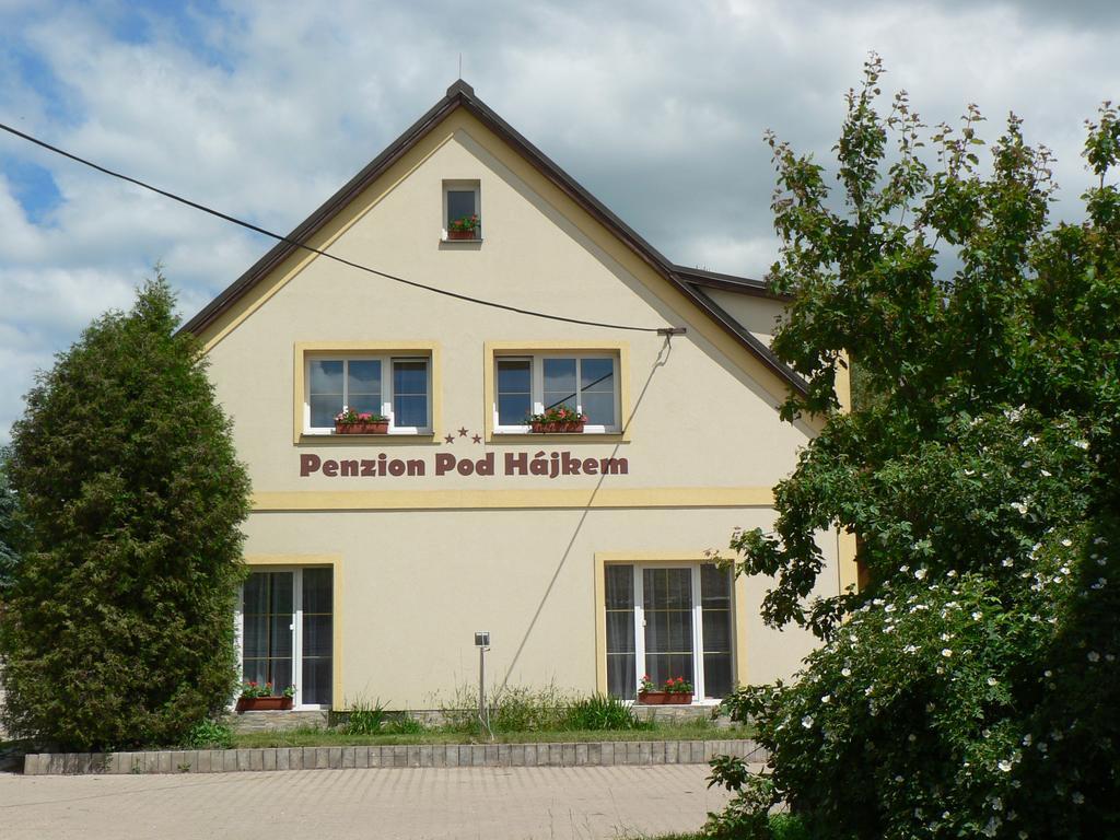Guest House Pod Hájkem Horni Branna Exteriér fotografie