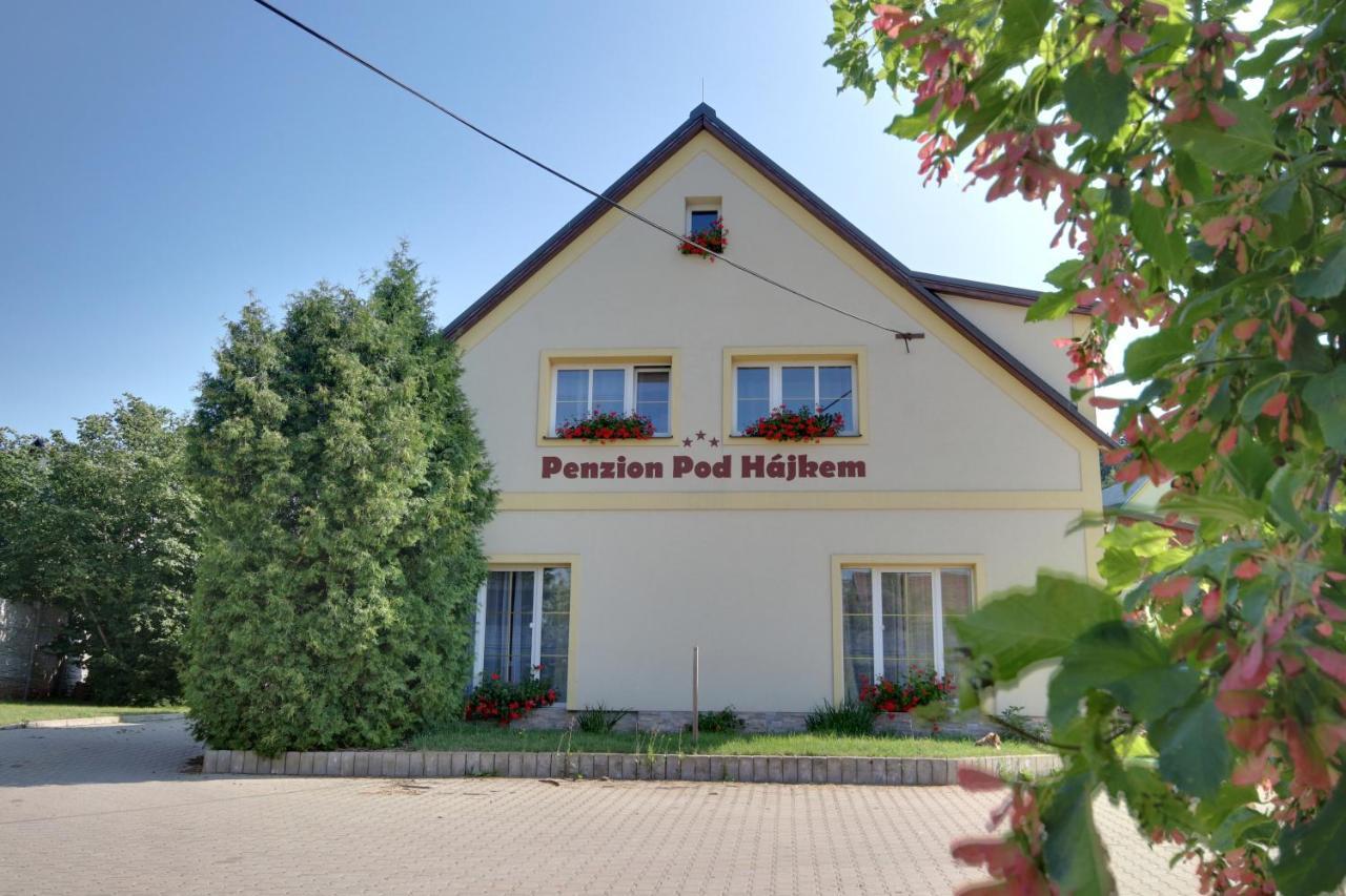 Guest House Pod Hájkem Horni Branna Exteriér fotografie